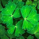 태양행정사 이미지