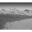 바위목욕탕 이미지