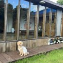 성산스테이 윤슬 이미지