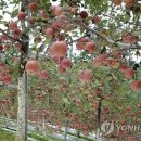 산들산들영농조합법인
