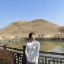 [국내여행/경주] 3일차