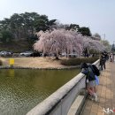 카이스트 정문 이미지