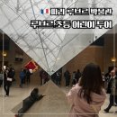 파리 루브르 어린이 투어 후기 (비비 예술사 박사) 및 2026 변경된 입장방식