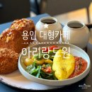 용신35 | 아리랑도원, 경기도 용인 대형카페 빵 투어 맛집