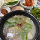 삼부국밥 이미지