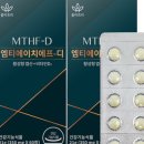 홀리트리
