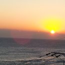 오종식농장 이미지