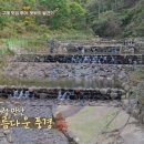 당동솔밭가든 이미지