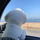 스테이제부 이미지