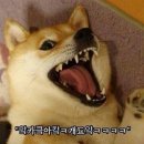 골목안채 이미지