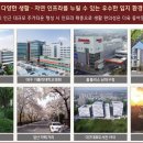 대명골프연습장 이미지