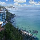 피스하우징(평화주택) 이미지