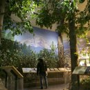 라고비스타 이미지