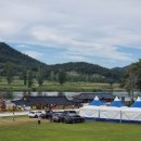 구드래 먹자골목 이미지