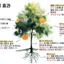 서울전농초등학교 이미지