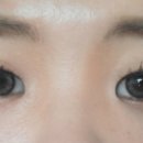 데일리안경원 위드렌즈 이미지