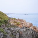 남원해안경승지(큰엉) | 제주 남원큰엉해안경승지 다녀온 후기