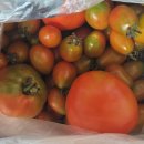 물새바람펜션 이미지