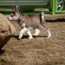 제우스호텔 이미지