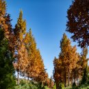 푸른수목원 이미지