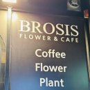 카페브로시스 이미지