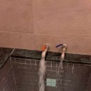 디오브 해운대 호텔 엘본더스테이 이미지