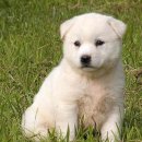 기분좋은 동물병원 이미지