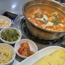 인생 김치찌개 맛집 부산시청 <명동 찌개마을>