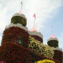 익산중앙체육공원 국화축제장에서... 이미지