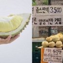 동네과일