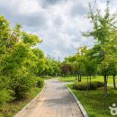 중앙어린이공원 화장실 이미지