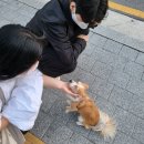 오다방