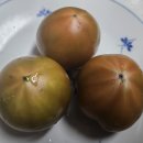 경민농장 이미지