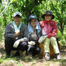 은식농장 이미지