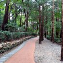 숲속쉼터옆 이미지