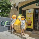 그린세탁전문점 | 푸꾸옥 남부 망고빙수는 여기! 카페그린(Cafe Green) 솔직 리뷰