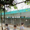 대저유치원 이미지