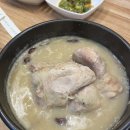 선사삼계탕 | [대전/월평동] 삼계탕 맛집 선사삼계탕 내돈내산 후기