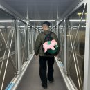 엉클망고 | 제이파크 리조트(디럭스룸, 워터파크) 후기/제이파크 근처 엉클밥&ANN SPA 마사지&망고가게 내돈내산 후기