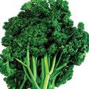 진양원예사 이미지