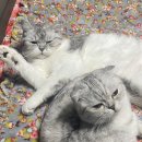 (주)광신판지정도노동조합 | 일상,70