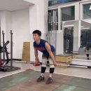 54. Stiff Leg Deadlift 이미지