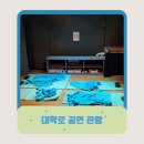 내 삶도 글이 될까요? | 대학로 연극 살아 봐도 될까요? 공연 관람후기