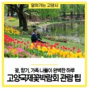 2025 고양국제꽃박람회 관람 팁 &amp; 후기｜꽃, 향기, 가족 나들이 완벽한 하루