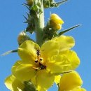 행복을 주는 집 이미지