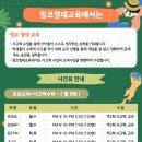 핑코영재교육학원