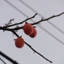 국립마산병원 이미지