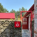 협재둥지 이미지