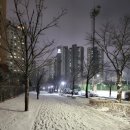 수지체육공원_R 이미지