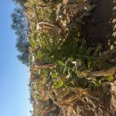 진양에너지 이미지